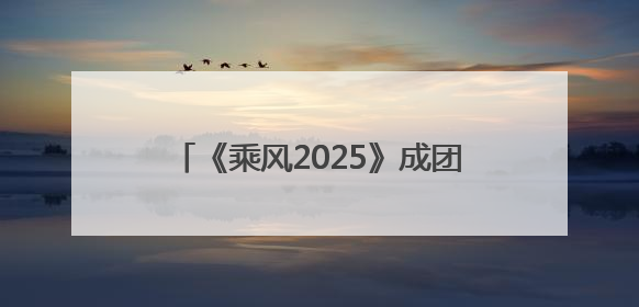 《乘风2025》成团名单公布：叶童获年度总冠军，李晟、吴宣仪等10位姐姐成功成团，陈德容获年度高光人物