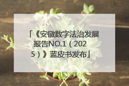 《安徽数字法治发展报告NO.1（2025）》蓝皮书发布