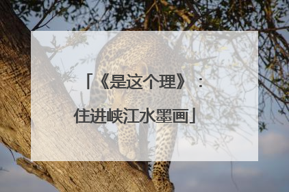 《是这个理》：住进峡江水墨画