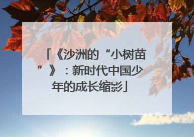 《沙洲的“小树苗”》：新时代中国少年的成长缩影