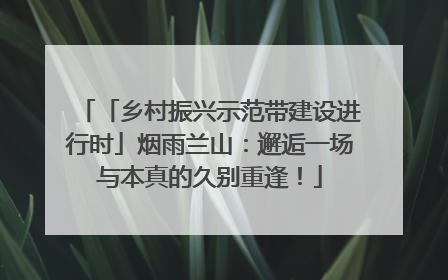 「乡村振兴示范带建设进行时」烟雨兰山：邂逅一场与本真的久别重逢！