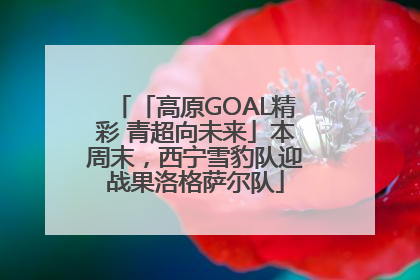 「高原GOAL精彩 青超向未来」本周末，西宁雪豹队迎战果洛格萨尔队