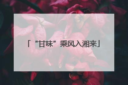 “甘味”乘风入湘来