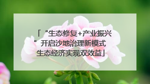 “生态修复+产业振兴”开启沙地治理新模式 生态经济实现双效益