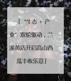 “生态 + 产业”双轮驱动，兰溪黄店开启高山西瓜丰收乐章