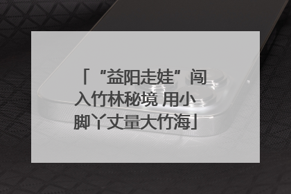 “益阳走娃”闯入竹林秘境 用小脚丫丈量大竹海