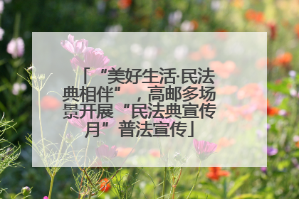 “美好生活·民法典相伴”，高邮多场景开展“民法典宣传月”普法宣传