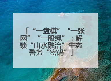 “一盘棋”“一张网”“一股绳”：解锁“山水融治”生态警务“密码”