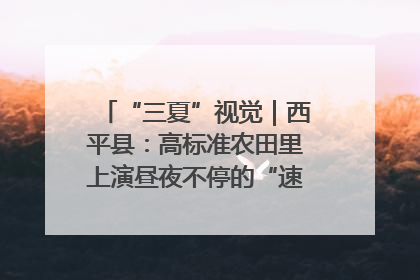 “三夏”视觉｜西平县：高标准农田里上演昼夜不停的“速度与激情”
