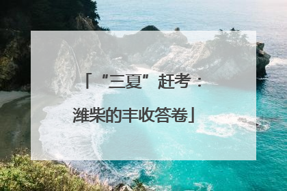 “三夏”赶考：潍柴的丰收答卷