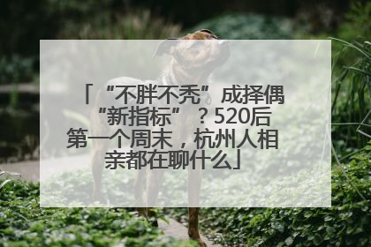 “不胖不秃”成择偶“新指标”？520后第一个周末，杭州人相亲都在聊什么