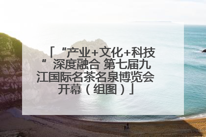 “产业+文化+科技”深度融合 第七届九江国际名茶名泉博览会开幕（组图）