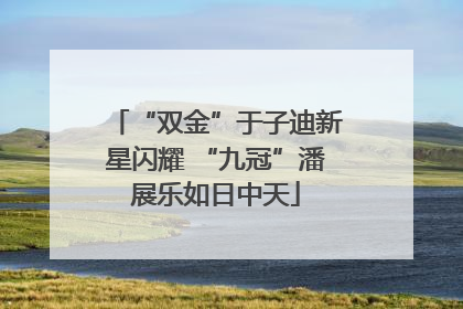 “双金”于子迪新星闪耀 “九冠”潘展乐如日中天