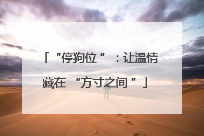 “停狗位 ”：让温情藏在 “方寸之间 ”