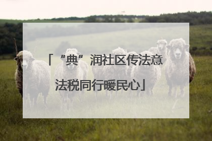 “典”润社区传法意 法税同行暖民心