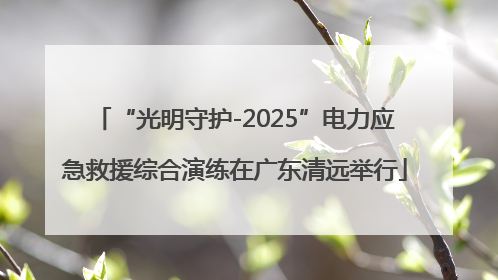“光明守护-2025”电力应急救援综合演练在广东清远举行