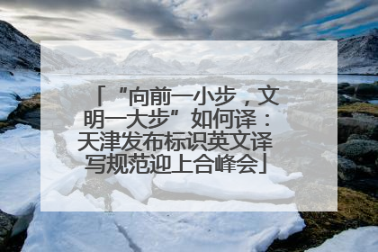 “向前一小步，文明一大步”如何译：天津发布标识英文译写规范迎上合峰会