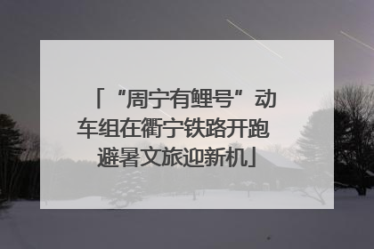 “周宁有鲤号”动车组在衢宁铁路开跑 避暑文旅迎新机