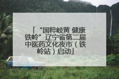 “国粹岐黄 健康铁岭”辽宁省第二届中医药文化夜市（铁岭站）启动