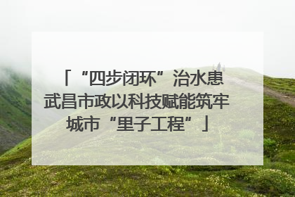 “四步闭环”治水患 武昌市政以科技赋能筑牢城市“里子工程”
