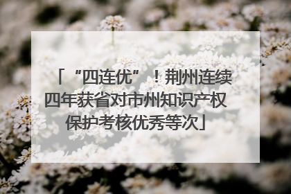 “四连优”！荆州连续四年获省对市州知识产权保护考核优秀等次