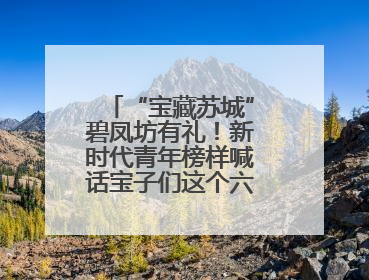 “宝藏苏城”碧凤坊有礼！新时代青年榜样喊话宝子们这个六一来平江街道