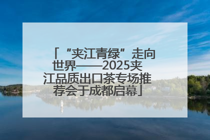 “夹江青绿”走向世界——2025夹江品质出口茶专场推荐会于成都启幕