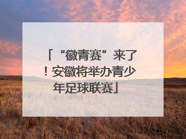 “徽青赛”来了！安徽将举办青少年足球联赛