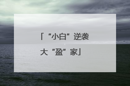 “小白”逆袭大“盈”家