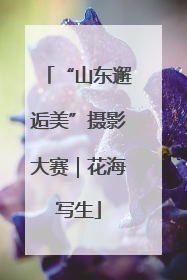 “山东邂逅美”摄影大赛｜花海写生