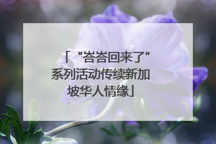 “峇峇回来了”系列活动传续新加坡华人情缘