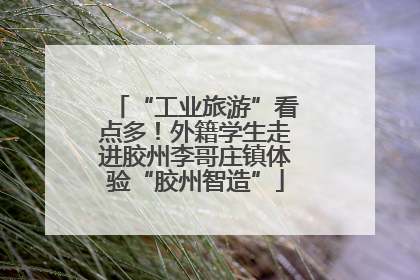 “工业旅游”看点多！外籍学生走进胶州李哥庄镇体验“胶州智造”