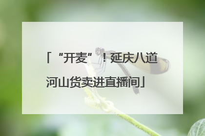 “开麦”！延庆八道河山货卖进直播间