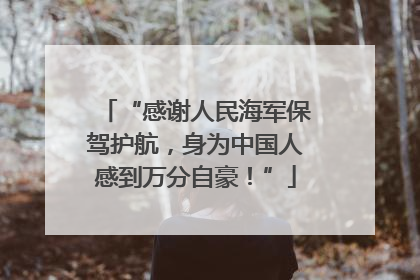 “感谢人民海军保驾护航，身为中国人感到万分自豪！”