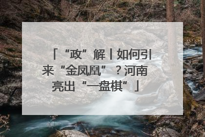 “政”解丨如何引来“金凤凰”？河南亮出“一盘棋”