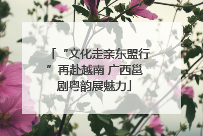 “文化走亲东盟行”再赴越南 广西邕剧粤韵展魅力