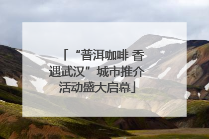 “普洱咖啡 香遇武汉”城市推介活动盛大启幕