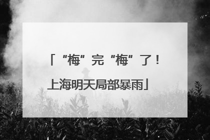 “梅”完“梅”了！上海明天局部暴雨