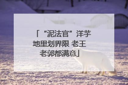 “泥法官”洋芋地里划界限 老王老郭都满意
