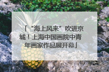 “海上风来”吹进京城！上海中国画院中青年画家作品展开幕