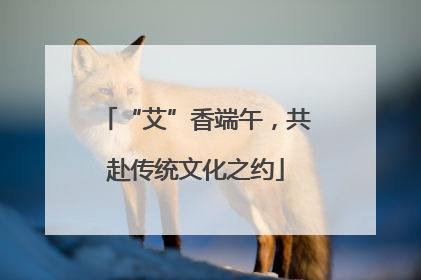 “艾”香端午，共赴传统文化之约