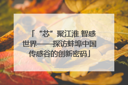 “芯”聚江淮 智感世界——探访蚌埠中国传感谷的创新密码