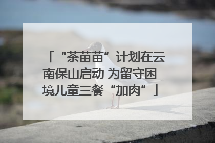 “茶苗苗”计划在云南保山启动 为留守困境儿童三餐“加肉”