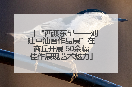 “西渡东望——刘建中油画作品展”在商丘开展 60余幅佳作展现艺术魅力