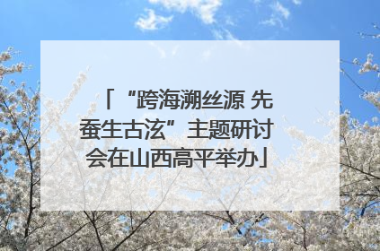 “跨海溯丝源 先蚕生古泫”主题研讨会在山西高平举办