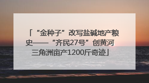 “金种子”改写盐碱地产粮史——“齐民27号”创黄河三角洲亩产1200斤奇迹
