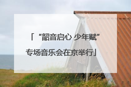 “韶音启心 少年赋”专场音乐会在京举行