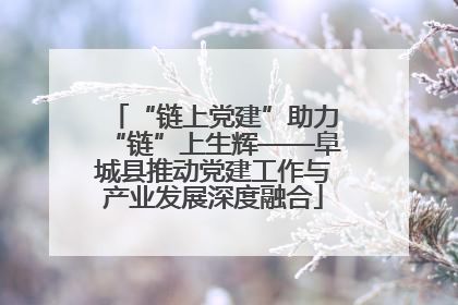 “链上党建”助力“链”上生辉——阜城县推动党建工作与产业发展深度融合