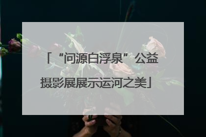 “问源白浮泉”公益摄影展展示运河之美