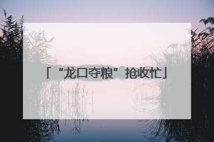 “龙口夺粮”抢收忙